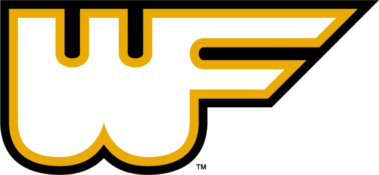 Wake Forest Demon Deacons 1977-1985 Alternate Logo iron on transfers for fabric